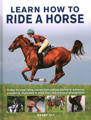 Learn How to Ride a Horse 1