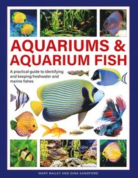 bokomslag Aquariums & Aquarium Fish