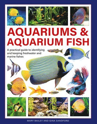 bokomslag Aquariums & Aquarium Fish