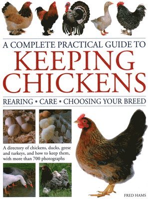 Keeping Chickens, Complete Practical Guide to 1