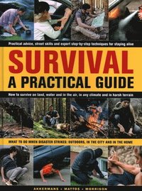 bokomslag Survival: A Practical Guide
