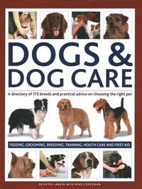 bokomslag Dogs & Dog Care