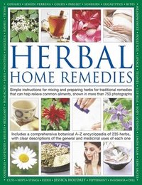 bokomslag Herbal Home Remedies