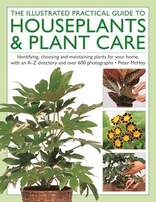 Peter McHoy - Illustrated Practical Guide to Houseplants & Plant Care, Inbunden