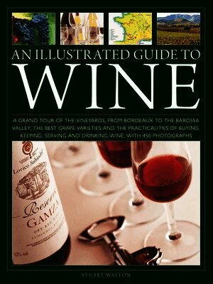 Stuart Walton - Illustrated Guide to Wine, Inbunden