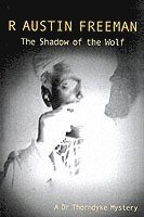 bokomslag The Shadow Of The Wolf