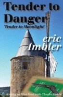 bokomslag Tender To Danger
