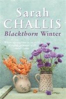 Sarah Challis - Blackthorn Winter, Häftad
