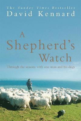 A Shepherd's Watch 1