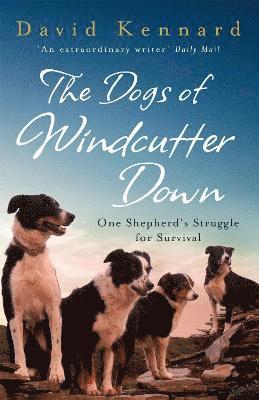 David Kennard - Dogs of Windcutter Down, Häftad