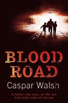 bokomslag Blood Road