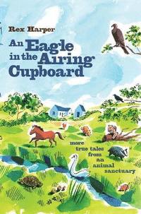 bokomslag Eagle in the Airing Cupboard