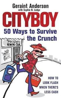 bokomslag Cityboy