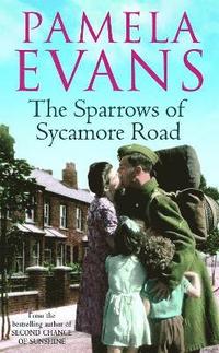 bokomslag The Sparrows of Sycamore Road
