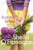 Sheila O'Flanagan - Suddenly Single, Häftad