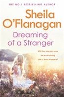 bokomslag Dreaming of a Stranger