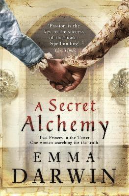 bokomslag A Secret Alchemy