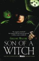 Gregory Maguire - Son of a Witch, Häftad