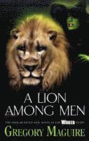 bokomslag Lion Among Men