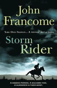 bokomslag Storm Rider