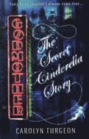 bokomslag Godmother: The Secret Cinderella Story