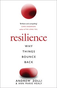 bokomslag Resilience