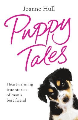 Puppy Tales 1