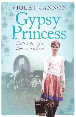 bokomslag Gypsy Princess