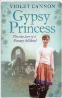 bokomslag Gypsy Princess