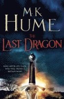 bokomslag The Last Dragon (Twilight of the Celts Book I)
