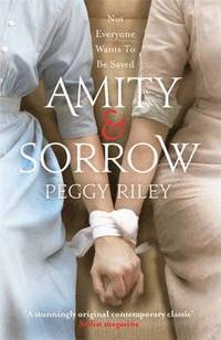 bokomslag Amity & Sorrow