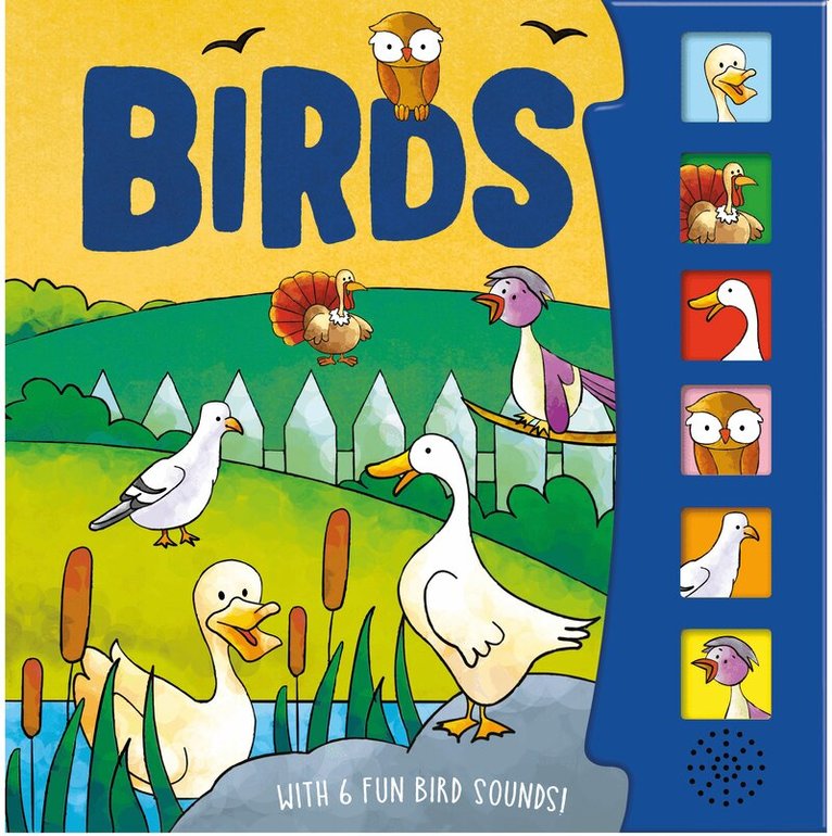 Birds, Häftad