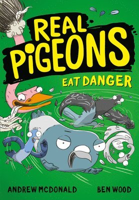 Real Pigeons Eat Danger 1