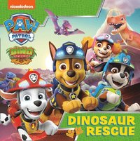 bokomslag Paw Patrol Picture Book - Dinosaur Rescue