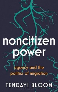 bokomslag Noncitizen Power