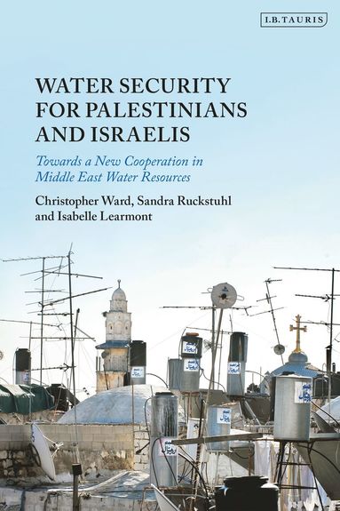 bokomslag Water Security for Palestinians and Israelis