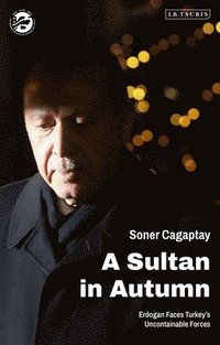 bokomslag A Sultan in Autumn
