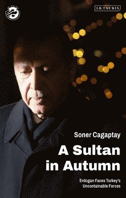 bokomslag A Sultan in Autumn