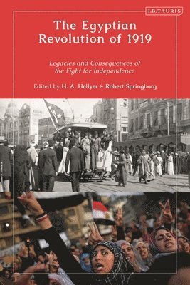 The Egyptian Revolution of 1919 1