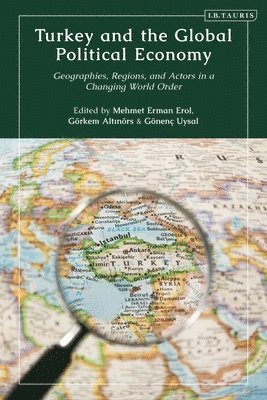 bokomslag Turkey and the Global Political Economy