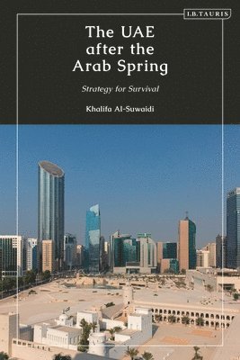 The UAE after the Arab Spring 1