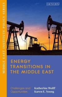 bokomslag Energy Transitions in the Middle East