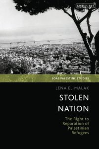 bokomslag Stolen Nation