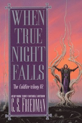bokomslag When True Night Falls