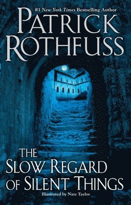 Patrick Rothfuss - The Slow Regard of Silent Things, Häftad