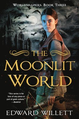 bokomslag Moonlit World