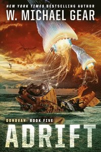 bokomslag Adrift