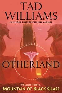 bokomslag Otherland: Mountain of Black Glass