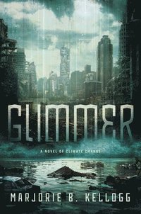 bokomslag Glimmer