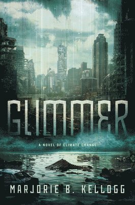 bokomslag Glimmer